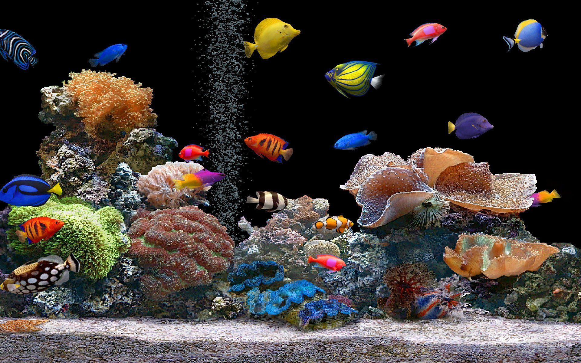 Top 5 Aquarium LED Lights - How To Choose The Right One For Your Tank