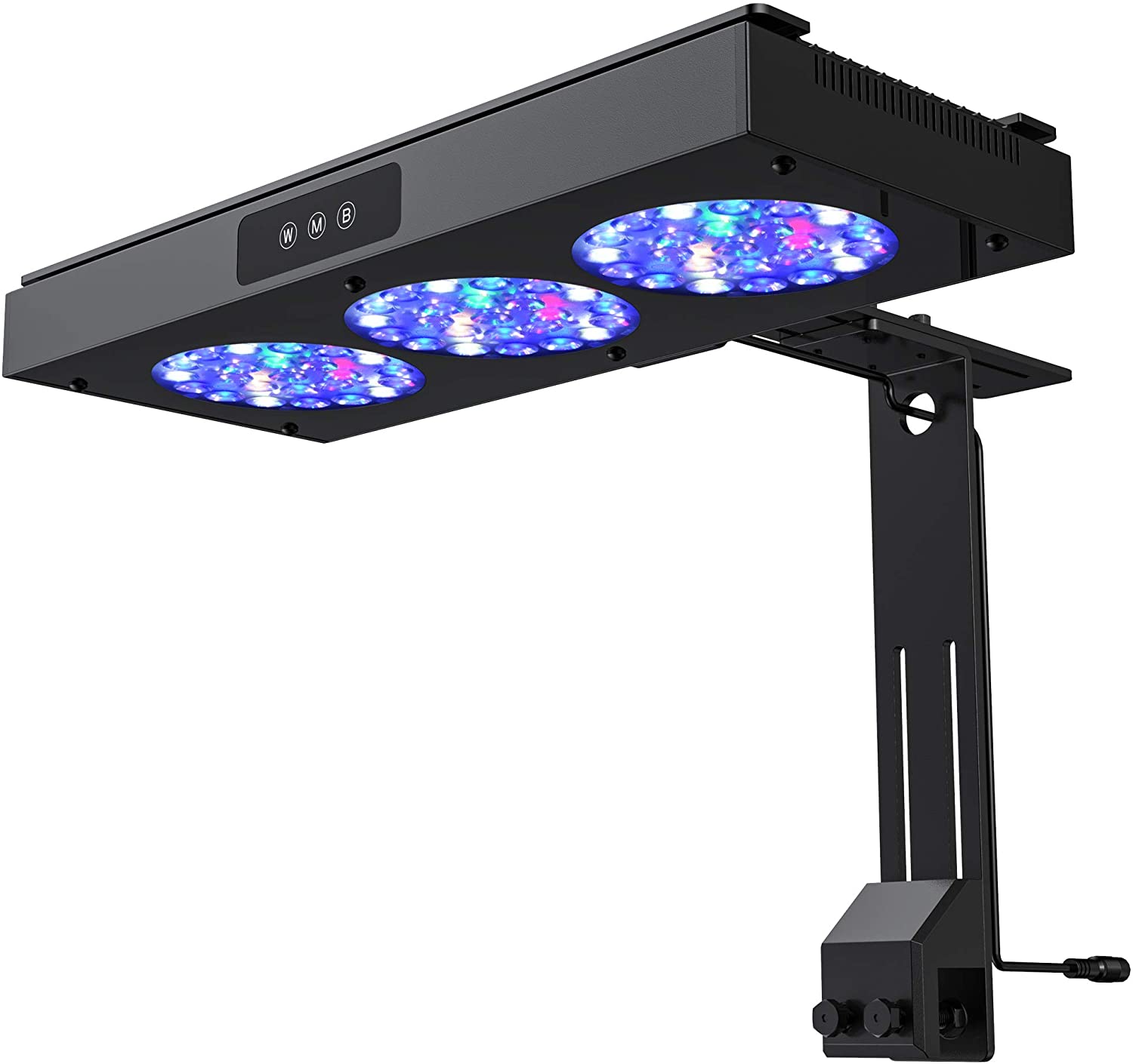 Best Saltwater Aquarium Light: Our Top Picks