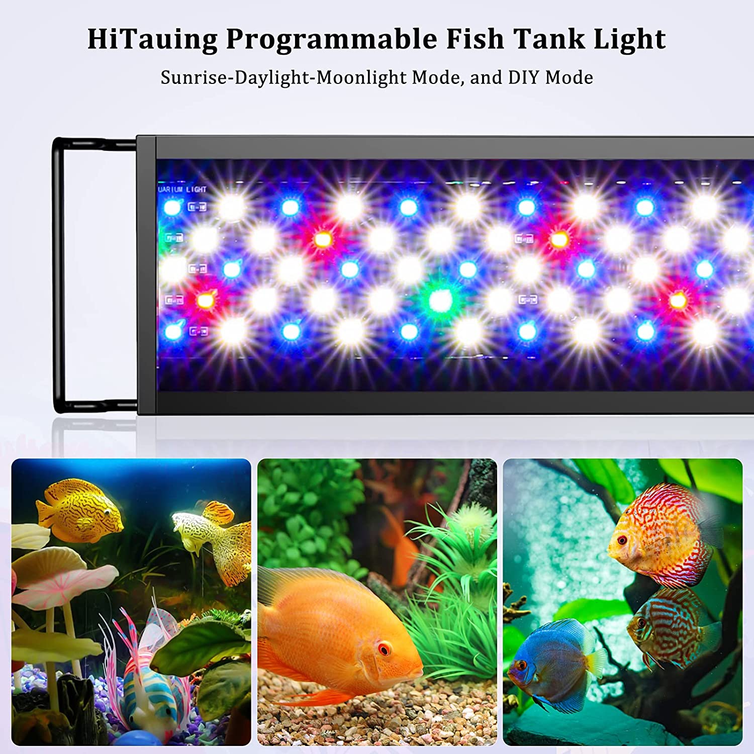 Top 5 Aquarium LED Lights - How To Choose The Right One For Your Tank