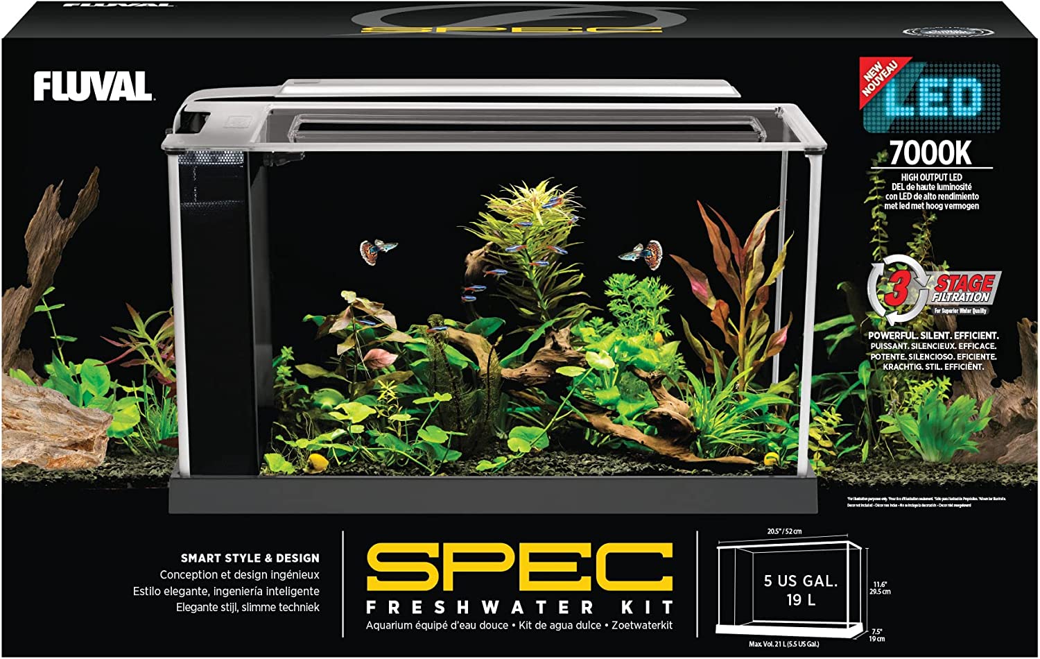 The Best Betta Fish Tanks: Our Top Picks