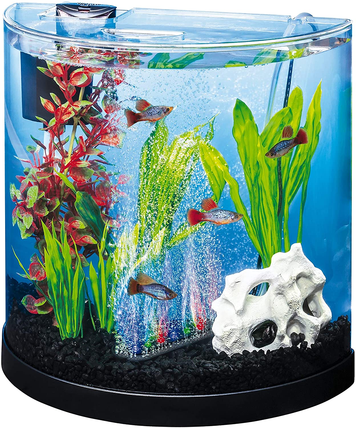 The Best Betta Fish Tanks: Our Top Picks