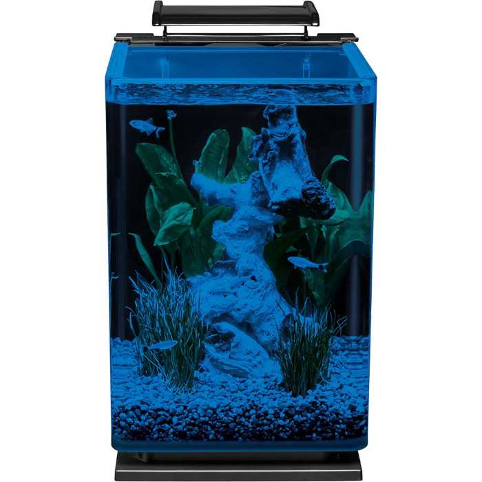 The Best Betta Fish Tanks: Our Top Picks