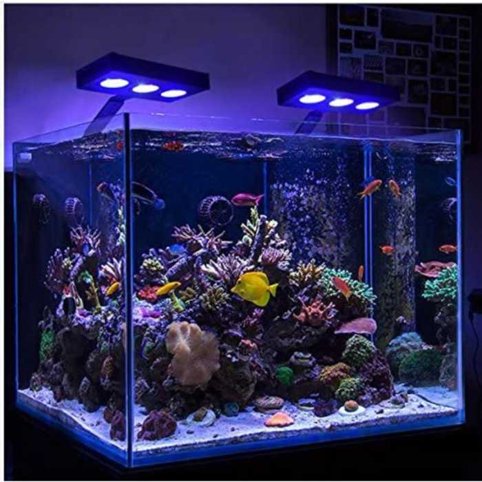 Best Saltwater Aquarium Light: Our Top Picks