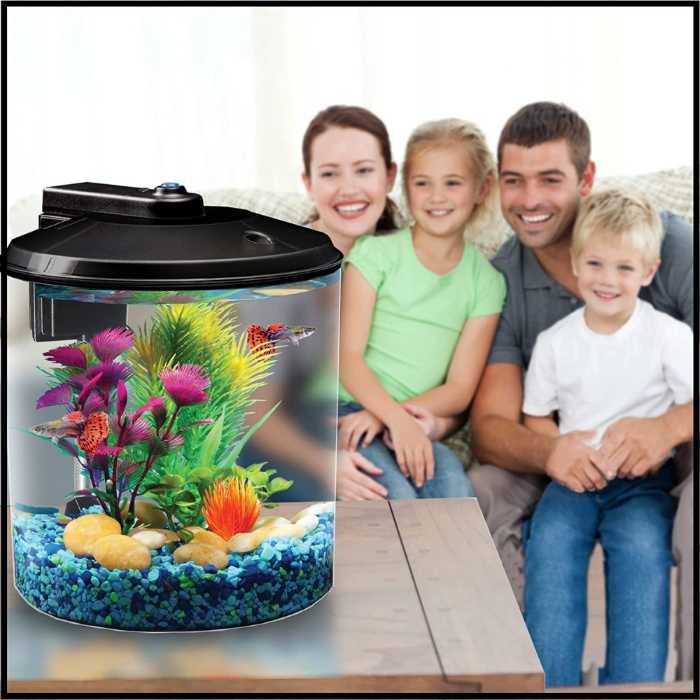 The Best Betta Fish Tanks: Our Top Picks