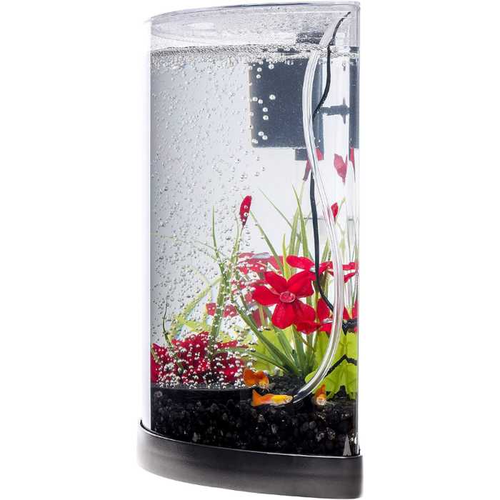 The Best Betta Fish Tanks: Our Top Picks