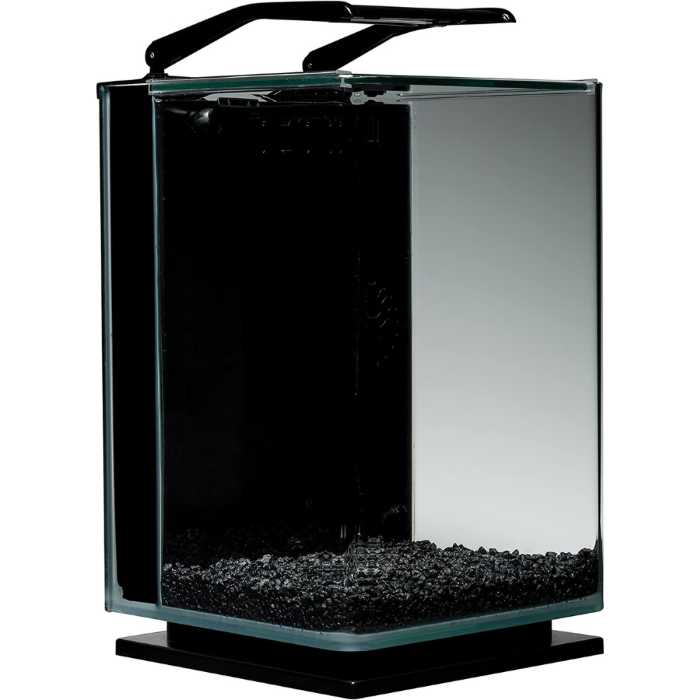 The Best Betta Fish Tanks: Our Top Picks