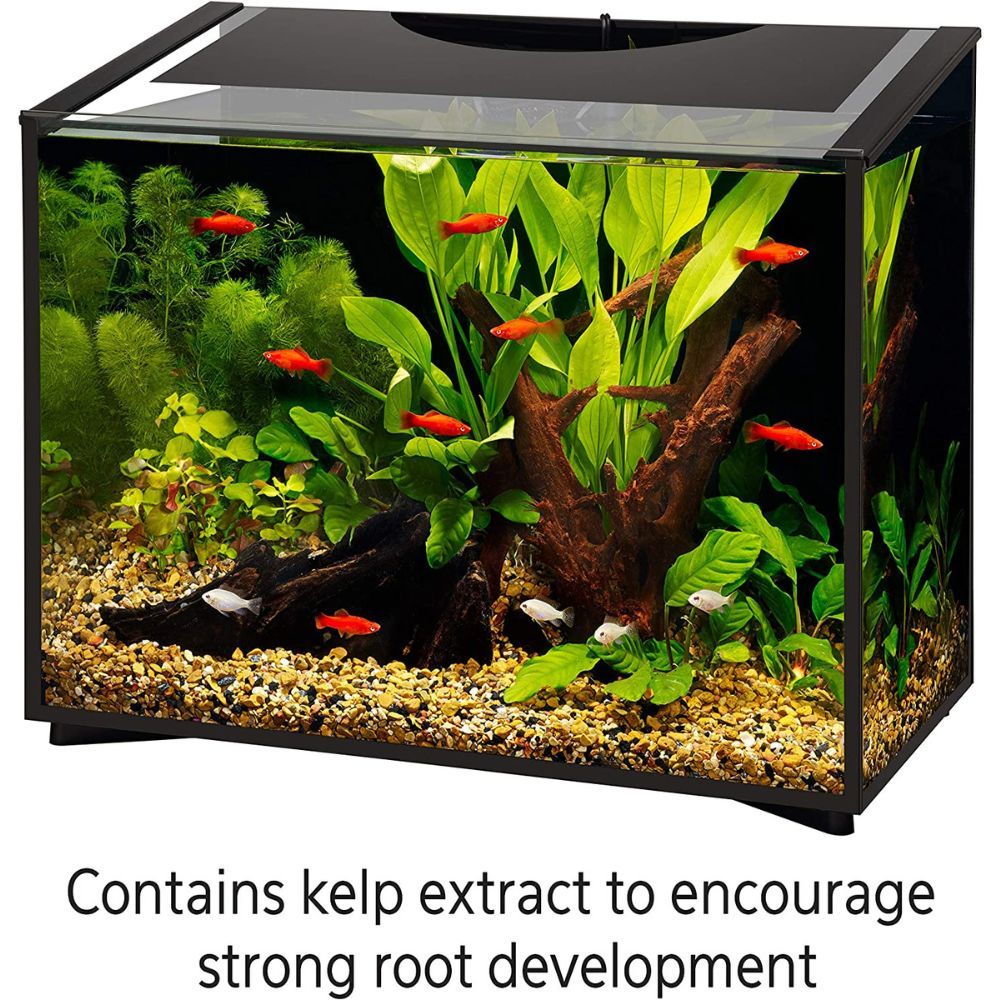 The Best Aquarium Plant Food: A Product Review