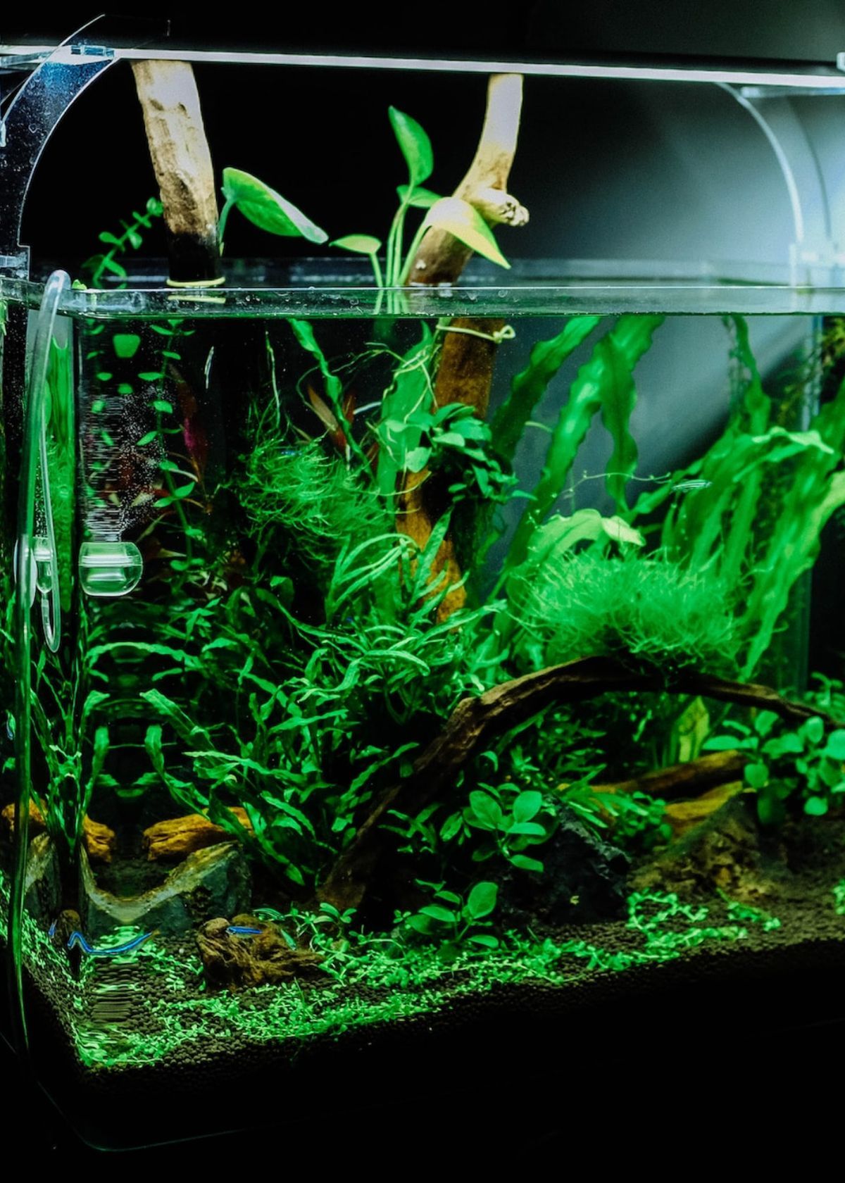 Best Aquarium Filter Pump 