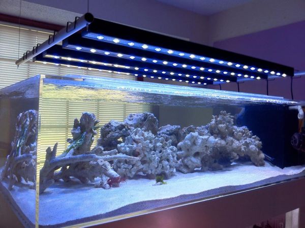 Top 5 Aquarium LED Lights - How To Choose The Right One For Your Tank