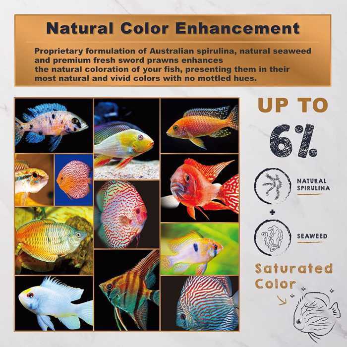 The 5 Best Tropical Fish Food for Your Aquarium A Product Review